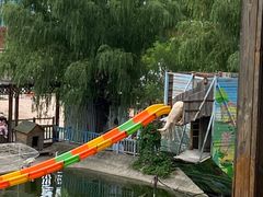-北京鹿世界主题园