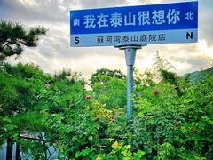 -蘇河湾·新鲁菜·泰山宴(泰山店)