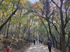 -虞山风景区
