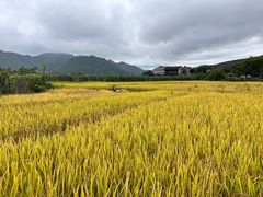 -和顺古镇