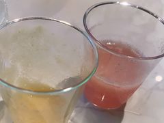 -野萃山·潮汕厚果汁(十亩地店)