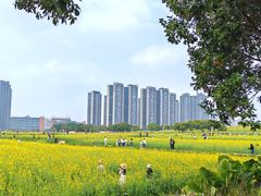 -光明小镇欢乐田园