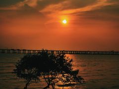 -宝安西湾红树林湿地公园