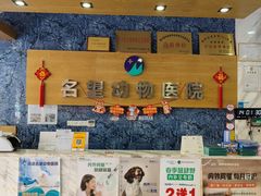 -瑞派名望志远动物医院·猫科·內科·异宠专科(直港大道店)
