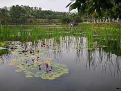 -松坪山公园
