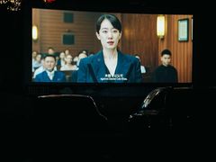 -枫花园汽车电影院(朝阳公园店)