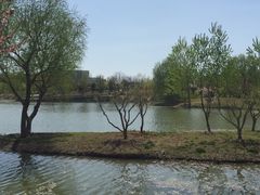 -东郊湿地公园