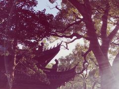-普陀山风景名胜区-法雨禅寺