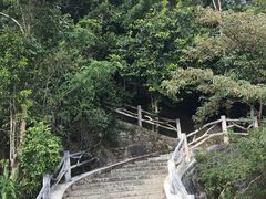 -海南热带雨林国家公园吊罗山景区