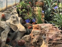 -国家植物园南园