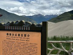 -佛掌沙丘
