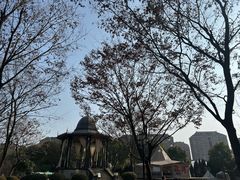 -上海影视乐园