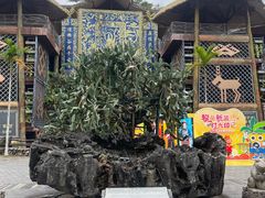 -海南槟榔谷黎苗文化旅游区