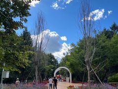 -黑龙江省森林植物园
