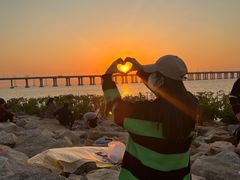 -宝安西湾红树林湿地公园