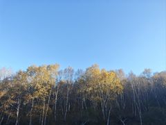 -灵山