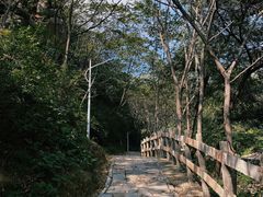 -大岭沟猕猴桃谷风景区