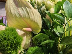 -爱尚幸福鲜花(上地实体店)