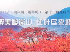 -周口店坡峰岭风景区