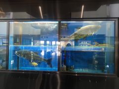 -天津水晶宫饭店