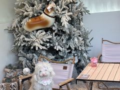 -J Create城市露营咖啡·简餐·宠物(上海动物园店)