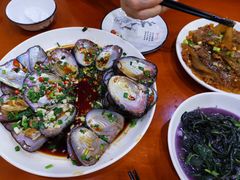 -全乐鱼馆·淳牌有机鱼直营店