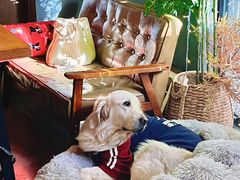 -咖法森林·咖啡  酒吧(天河店)