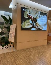 -爱弥儿月子中心(省医院店)