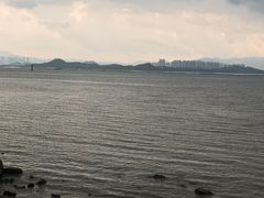 -深圳湾公园(南山区)