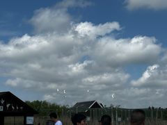 -盐城丹顶鹤湿地生态旅游区