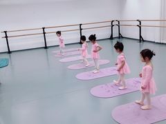 -中央芭蕾舞团·中芭艺蕾(酒仙桥明星校区)