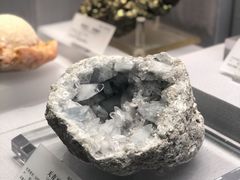 -湖南省地质博物馆