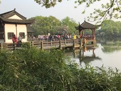 -西湖外事游船(花港观鱼码头)