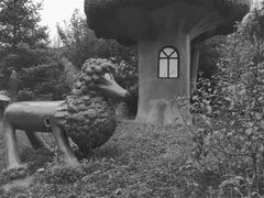 -青峰峡国家森林公园