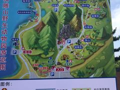 -西霞口神雕山野生动物世界