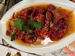 -大孩龙虾(体育场旗舰店)