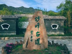 -阳台山自然风景区