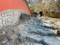 -阳台山自然风景区