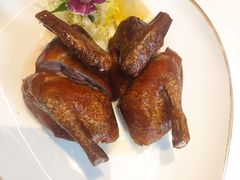 茶皇烟熏鸽-伯衡55·吉品轩(乌鲁木齐南路店)