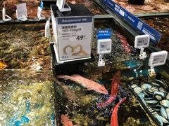 水产区-盒马鲜生(皇庭广场店)