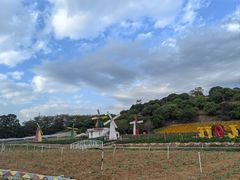 -松山湖梦幻百花洲