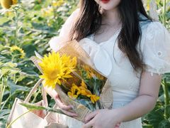 -杭州湾海上花田景区