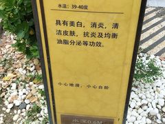 -大连金石滩绿发温泉假日酒店