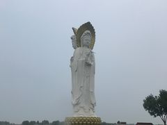 -白洋淀景区