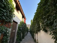 -青果巷历史文化街区