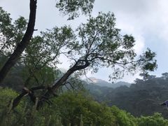 -泰山风景名胜区