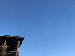 -长虫山生态公园风景林