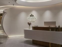 -雅荷悦来双美