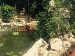 iphone_upload_pic-漫渡庄绿岛花园•隐世庭园菜(滨湖店)