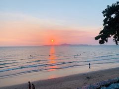 -卷心菜和避孕套餐厅(Pattaya)